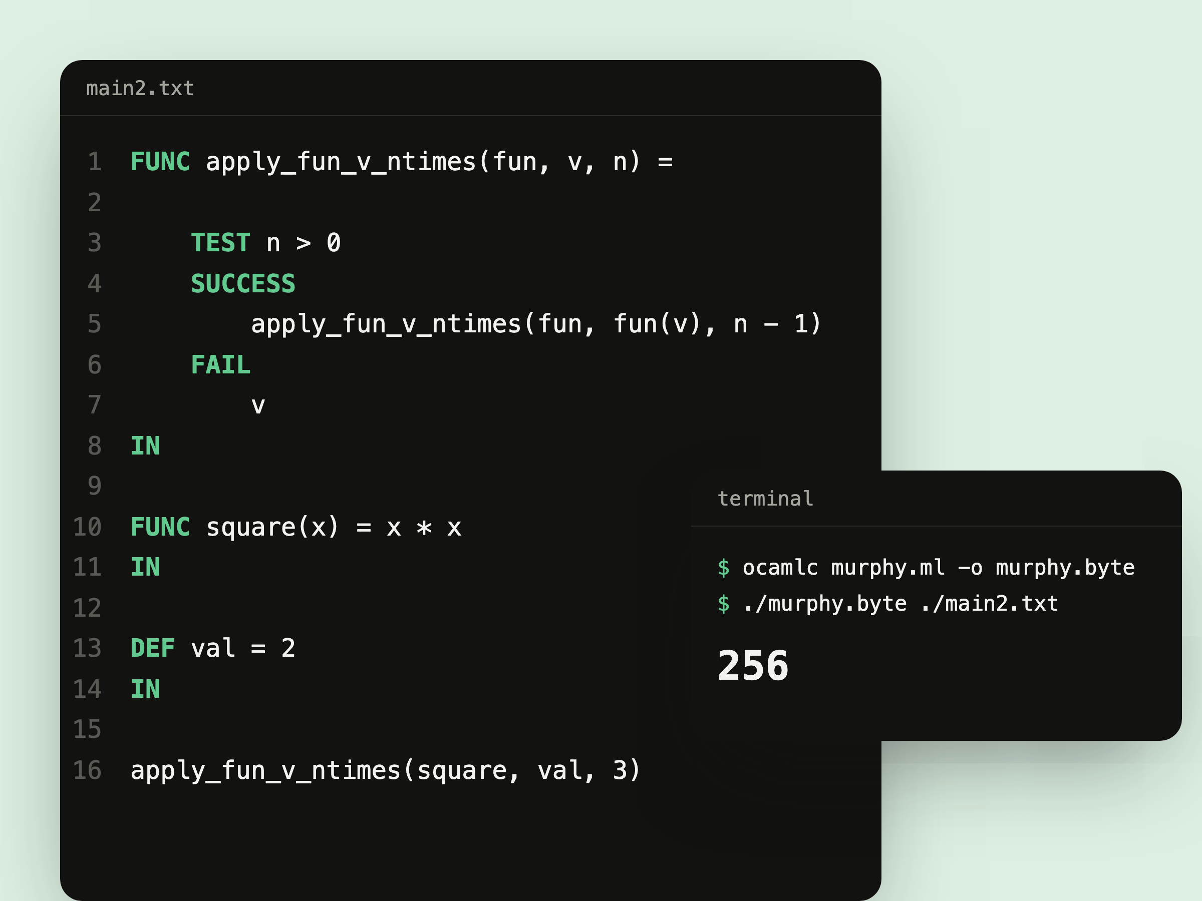 A Murphy program that applies the square function three times to 2, and the terminal printing 256